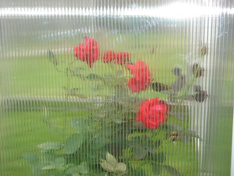 Growing System Greenhouse Flower House Rdgu0612-10mm