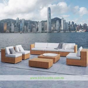 Brown Wicker Outdoor Couch Set with Beige Mat (WH-D574)