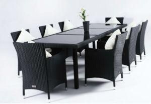 Dining Table and Chair, Rattan Furniture (CNS-S2020)