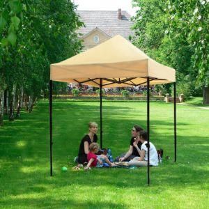 5FT*5FT Small Cheap Folding Pop up Gazebo Tent