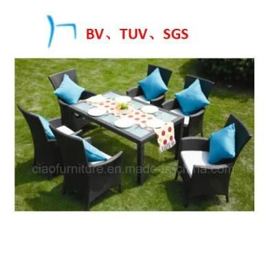 Garden Furniture Wicker Furniture Leisure Chairs (2107GP)