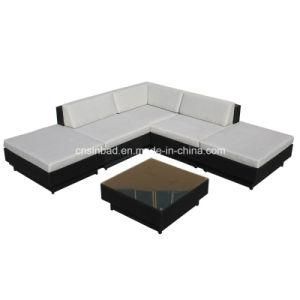 Wicker Furniture Rattan Sofa Set with Aluminum Frame (9509-grey)