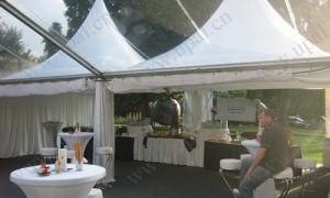 Pagoda Tent 3*3m