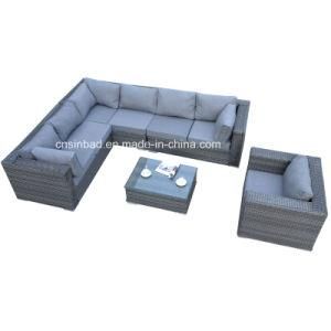 Indoor &amp; Outdoor Rattan Furniture for Living Room with Aluminum / SGS (5004)