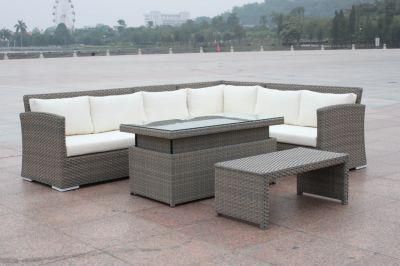 Combination Customized Darwin or OEM Furniture Sofa Garden Rattan Lounge Set