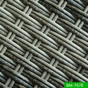 Pretty Quality Guangdong Manufacture Imitated Wicker (BM7678)