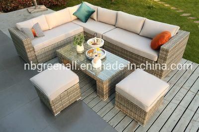 Leisure Hotel Aluminum/Steel Frame Garden Sofa Patio Home Rattaon Outdoor Furniture
