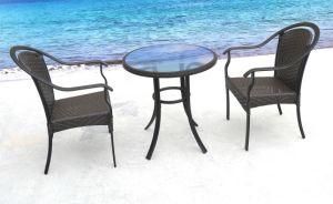 Outdoor Furniture for Dining Room with 2 Seater / SGS (6110)