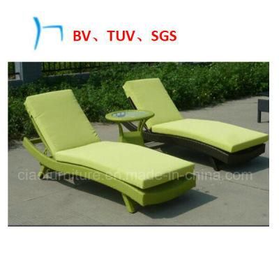 Garden Furniture Rattan Furniture Leisure Lounges (CF798L)