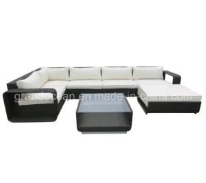 Garden Wicker Outdoor Sofa Set (RF9171)