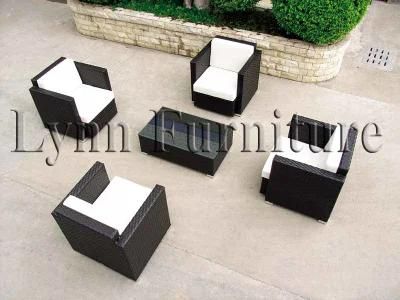 Outdoor Furniture/Outdoor Sofa (LN038)