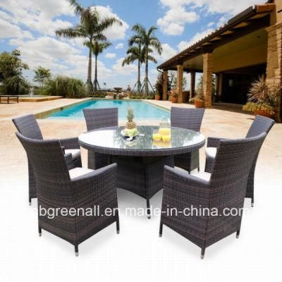 6 Seaters Outdoor Rattan Garden Home Restaurant Dining Room Table Chair Set (GN-8623D)