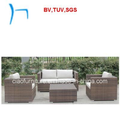 F - 2016 New Style Outdoor Garden Rattan Sofa (CF1319b+a+CT)