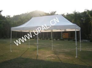 Foldabel Tent / Pop up Tent (FTA36)