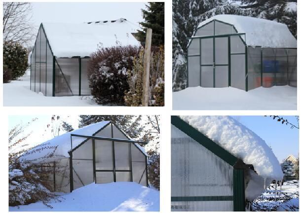 Smart Design Farming Use Polycarbonate Sheet Walk in Hobby Greenhouses Gazebo (RDGS0819-6mm)