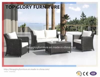 Plastic Garden Sofa, Leisure Sofa, Patio Sofa for Outdoor Sofa (TG-76)