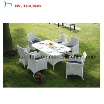 Garden Furniture Synthetic Rattan Dining Table and Chair (8040)