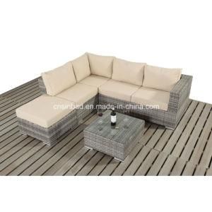 Small Sofa Set for Outdoor with Rattan / Wicker / SGS (401-1)