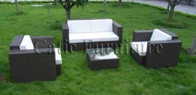 Outdoor Furniture/Outdoor Sofa (GS79D)
