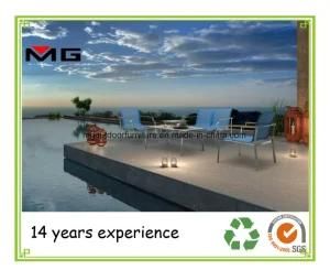 Outdoor Patio Furniture Leisure Sofa with Metal Frame
