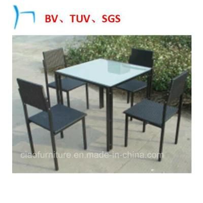 Outdoor Furniture Wholesale Wicker Furniture Dining Table and Chair (FC1015)