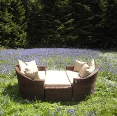 Rattan Modern Leisure Sofa (YT-1158-3)