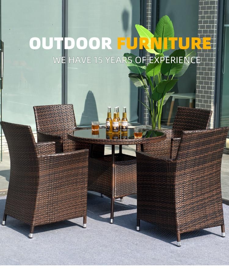 Rattan Garden Furniture/Outdoor Table and Chair/Dining Table and Chair