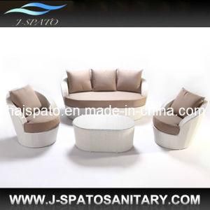 Wicker Gardon Rattan Furniture, Living Room Rattan Sofa (JS-R807)