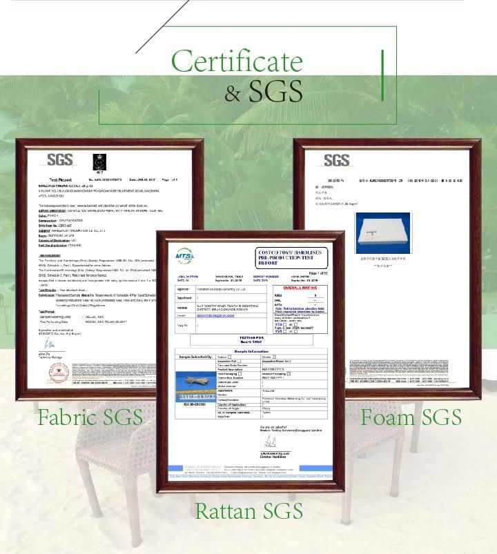Garden Rattan Furniture/Patio Table Sets/Cheap Patio Sets