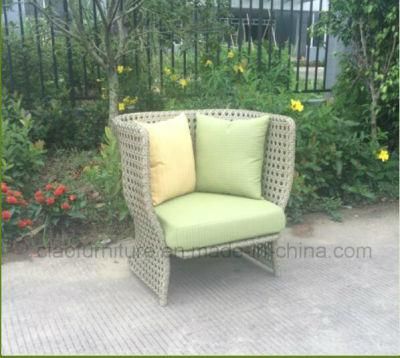 Leisure Rattan/Outdoor Chair Rattan Garden Chair (CF1009C)