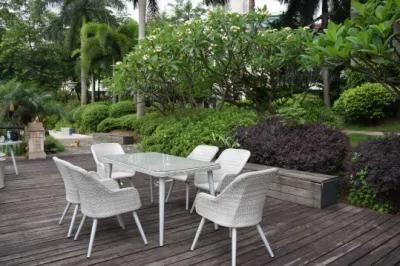 Cheap Garden Furniture Rattan Table and Chair