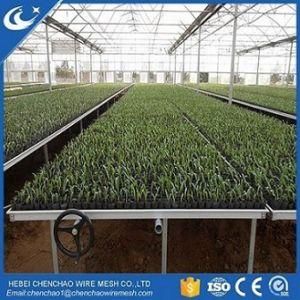 Greenhouse Rolling Bench Seedbed Table