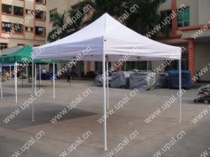 Foldable Pop up Tent (FTS33)