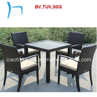 F- Outdoor Patio Furniture Garden Dining Set (2107t+FC009)