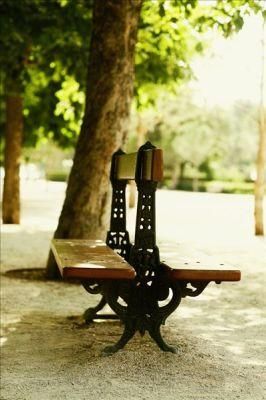 Cast Iron Bench Parts for Park