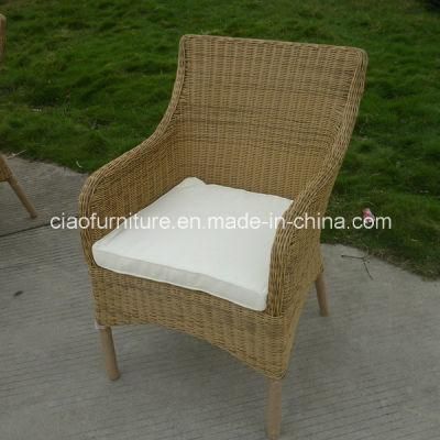 2016 Outdoor Garden Dining Chair Plastic Rattan Chair