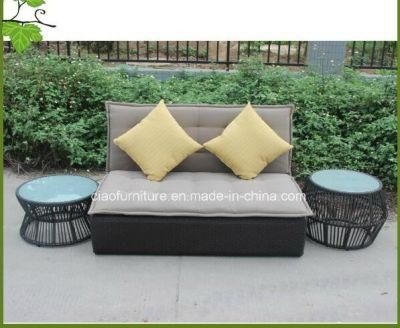 Relaxing Outdor Rattan Furniture Garden Wicker Sofa (CF1026)