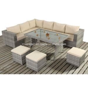 Outdoor Table Sofa Set with SGS Certificated (404-A)