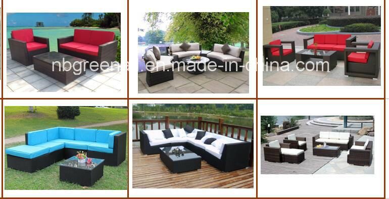 Modern Outdoor PE Rattan Garden Wicker Sofa Patio Furniture (GN-9114S)