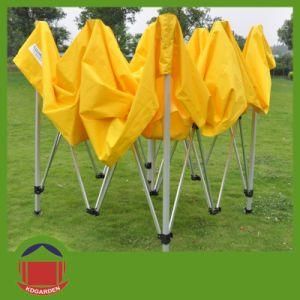 UV Protection Gazebo with Wall