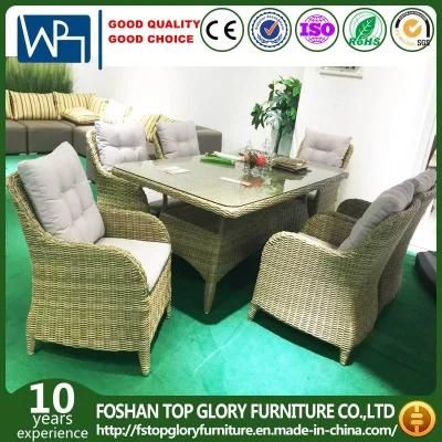 Outdoor Wicker Table and Rattan Chairs Furniture Sets Hotel Furniture Dining Set (TG-HL28-1)