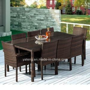 Glassic Design Wicker Rattan Outdoor Garden Furniture Chairs Dining Set by 8person (YT261)