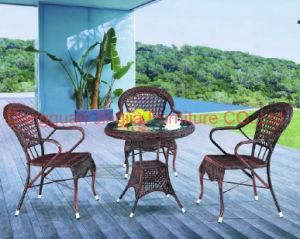 Iron Frame Wicker Leisure Garden Dining Set (JJ-S433&571)