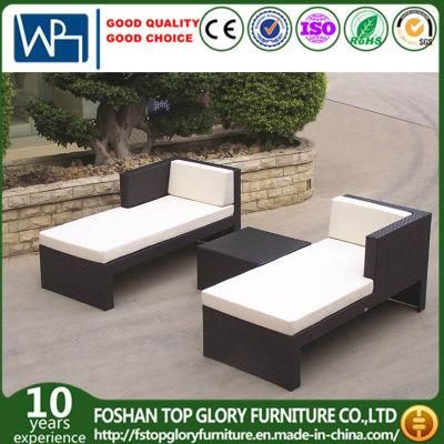 Garden Furniture Lounger Sofa Hotel Furniture Patio Furniture Sets (TG-JW12)