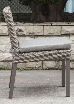 Modern Rattan/Wicker Chair for Outdoor Furniture (LN-2000)