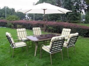 Garden Furniture/Outdoor Furniture (ELG-5019)