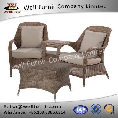 Well Furnir Refine Outdoor Rattan Love Seat (T-055)