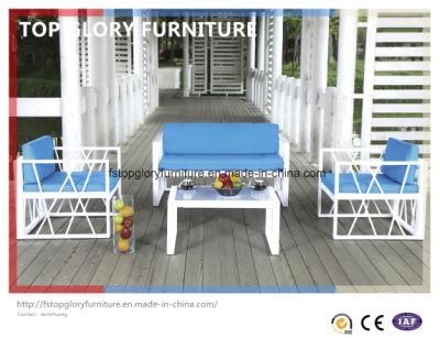 Modern Wicker Sofa Furniture Garden Leisure Outdoor Rattan Sofa Set (TG-064)