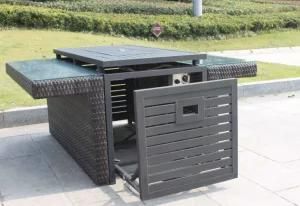 Fire Pit with Ce Certificate