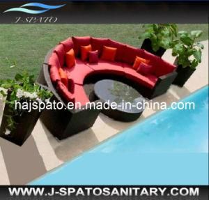 Rattan Gardon Furniture Rattan Lounge, Outdoor Sofa Sofa (JS-R2810)